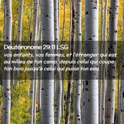 Picture 02 - Deutéronome 29:11 LSG - vos enfants, vos femmes, et l'étranger qui est - Bible Verse Picture