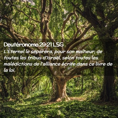 Picture 02 - Deutéronome 29:21 LSG - L'Eternel le séparera, pour son malheur, de - Bible Verse Picture