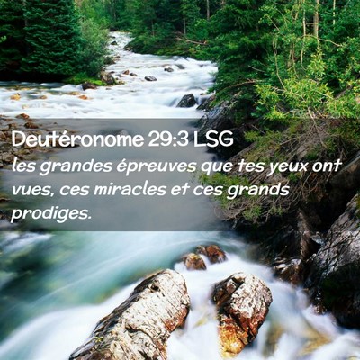 Picture 02 - Deutéronome 29:3 LSG - les grandes épreuves que tes yeux ont vues, ces - Bible Verse Picture