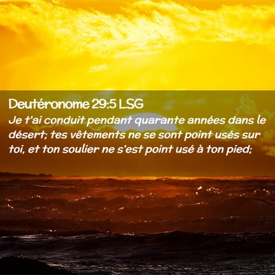 Picture 02 - Deutéronome 29:5 LSG - Je t'ai conduit pendant quarante années dans le - Bible Verse Picture
