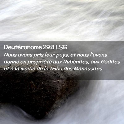 Picture 02 - Deutéronome 29:8 LSG - Nous avons pris leur pays, et nous l'avons donné - Bible Verse Picture