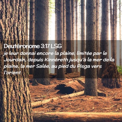 Picture 02 - Deutéronome 3:17 LSG - je leur donnai encore la plaine, limitée par le - Bible Verse Picture