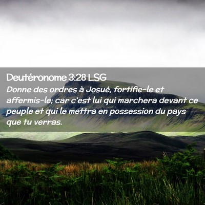 Picture 02 - Deutéronome 3:28 LSG - Donne des ordres à Josué, fortifie-le et - Bible Verse Picture