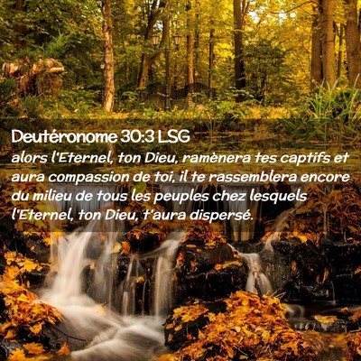 Picture 02 - Deutéronome 30:3 LSG - alors l'Eternel, ton Dieu, ramènera tes captifs - Bible Verse Picture