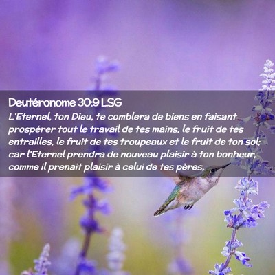 Picture 02 - Deutéronome 30:9 LSG - L'Eternel, ton Dieu, te comblera de biens en - Bible Verse Picture