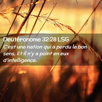Picture 02 - Deutéronome 32:28 LSG - C'est une nation qui a perdu le bon sens, Et il - Bible Verse Picture