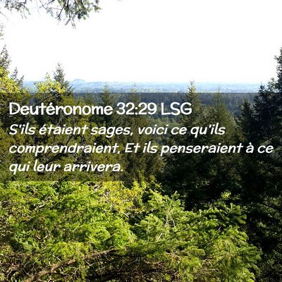 Picture 02 - Deutéronome 32:29 LSG - S'ils étaient sages, voici ce qu'ils - Bible Verse Picture