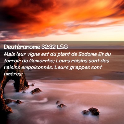 Picture 02 - Deutéronome 32:32 LSG - Mais leur vigne est du plant de Sodome Et du - Bible Verse Picture