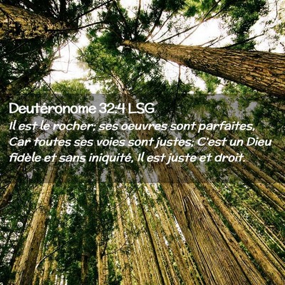 Picture 02 - Deutéronome 32:4 LSG - Il est le rocher; ses oeuvres sont parfaites, Car - Bible Verse Picture
