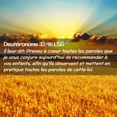 Picture 02 - Deutéronome 32:46 LSG - il leur dit: Prenez à coeur toutes les paroles - Bible Verse Picture