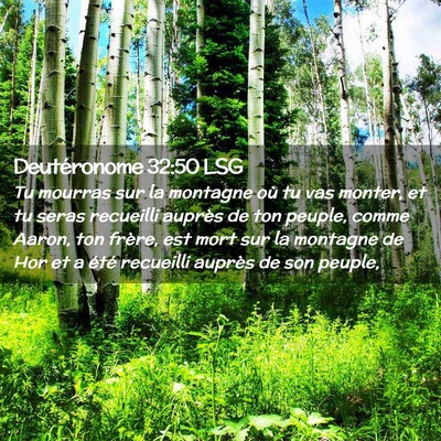 Picture 02 - Deutéronome 32:50 LSG - Tu mourras sur la montagne où tu vas monter, et - Bible Verse Picture