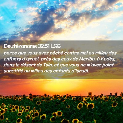 Picture 02 - Deutéronome 32:51 LSG - parce que vous avez péché contre moi au milieu - Bible Verse Picture
