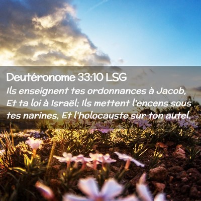 Picture 02 - Deutéronome 33:10 LSG - Ils enseignent tes ordonnances à Jacob, Et ta - Bible Verse Picture