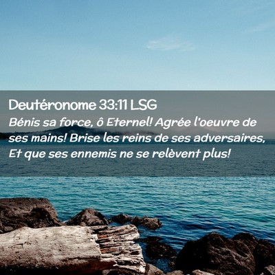 Picture 02 - Deutéronome 33:11 LSG - Bénis sa force, ô Eternel! Agrée l'oeuvre de - Bible Verse Picture