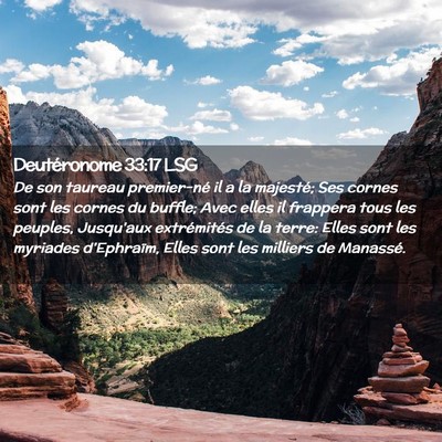 Picture 02 - Deutéronome 33:17 LSG - De son taureau premier-né il a la majesté; Ses - Bible Verse Picture