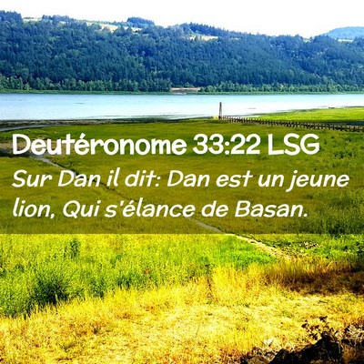 Picture 02 - Deutéronome 33:22 LSG - Sur Dan il dit: Dan est un jeune lion, Qui - Bible Verse Picture