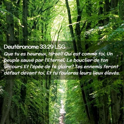 Picture 02 - Deutéronome 33:29 LSG - Que tu es heureux, Israël! Qui est comme toi, Un - Bible Verse Picture
