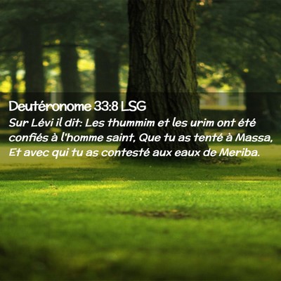 Picture 02 - Deutéronome 33:8 LSG - Sur Lévi il dit: Les thummim et les urim ont - Bible Verse Picture