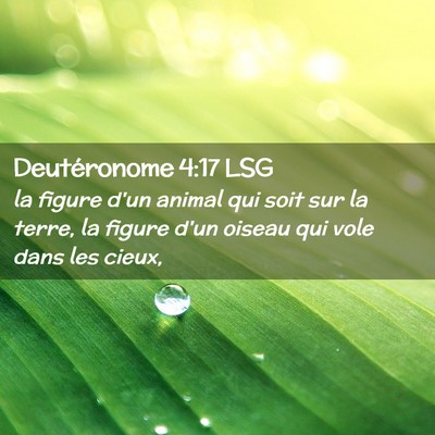 Picture 02 - Deutéronome 4:17 LSG - la figure d'un animal qui soit sur la terre, la - Bible Verse Picture
