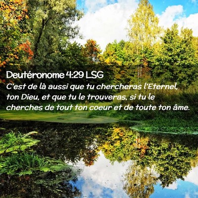 Picture 02 - Deutéronome 4:29 LSG - C'est de là aussi que tu chercheras l'Eternel, - Bible Verse Picture