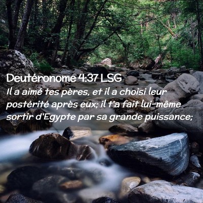 Picture 02 - Deutéronome 4:37 LSG - Il a aimé tes pères, et il a choisi leur - Bible Verse Picture
