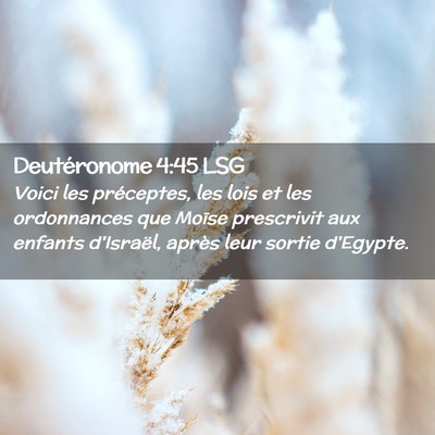 Picture 02 - Deutéronome 4:45 LSG - Voici les préceptes, les lois et les ordonnances - Bible Verse Picture