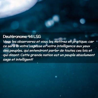 Picture 02 - Deutéronome 4:6 LSG - Vous les observerez et vous les mettrez en - Bible Verse Picture