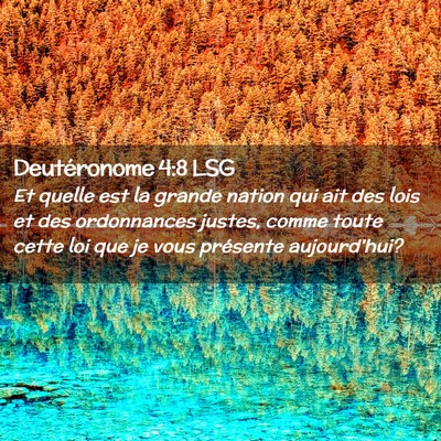 Picture 02 - Deutéronome 4:8 LSG - Et quelle est la grande nation qui ait des lois - Bible Verse Picture