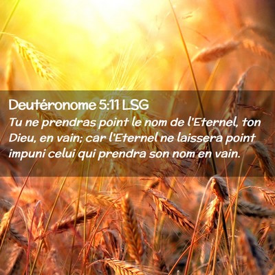 Picture 02 - Deutéronome 5:11 LSG - Tu ne prendras point le nom de l'Eternel, ton - Bible Verse Picture