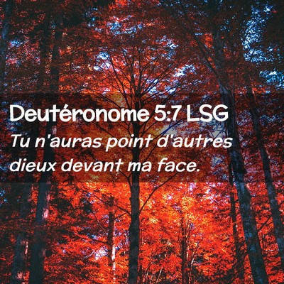 Picture 02 - Deutéronome 5:7 LSG - Tu n'auras point d'autres dieux devant ma - Bible Verse Picture