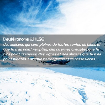 Picture 02 - Deutéronome 6:11 LSG - des maisons qui sont pleines de toutes sortes de - Bible Verse Picture