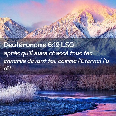 Picture 02 - Deutéronome 6:19 LSG - après qu'il aura chassé tous tes ennemis devant - Bible Verse Picture