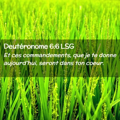 Picture 02 - Deutéronome 6:6 LSG - Et ces commandements, que je te donne - Bible Verse Picture