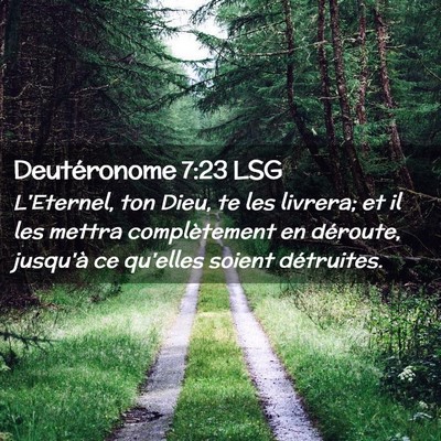Picture 02 - Deutéronome 7:23 LSG - L'Eternel, ton Dieu, te les livrera; et il les - Bible Verse Picture