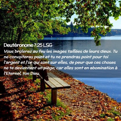 Picture 02 - Deutéronome 7:25 LSG - Vous brûlerez au feu les images taillées de - Bible Verse Picture