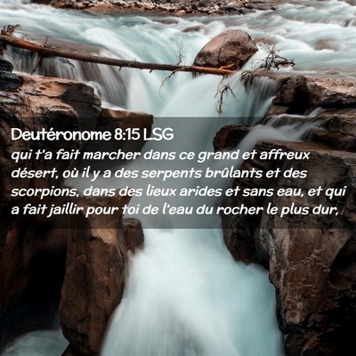 Picture 02 - Deutéronome 8:15 LSG - qui t'a fait marcher dans ce grand et affreux - Bible Verse Picture