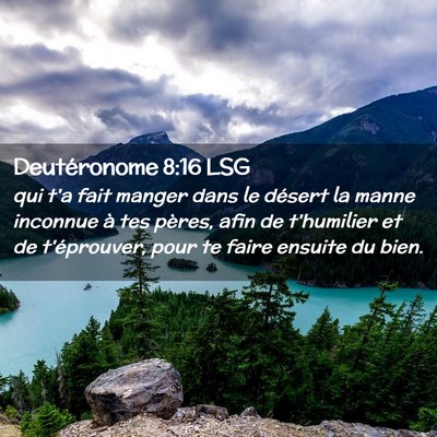 Picture 02 - Deutéronome 8:16 LSG - qui t'a fait manger dans le désert la manne - Bible Verse Picture