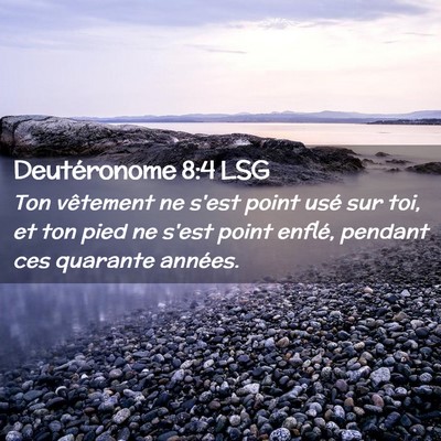 Picture 02 - Deutéronome 8:4 LSG - Ton vêtement ne s'est point usé sur toi, et ton - Bible Verse Picture