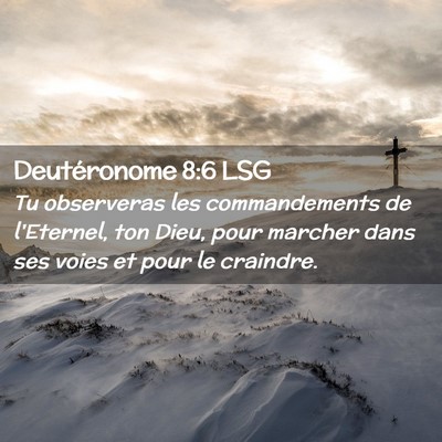 Picture 02 - Deutéronome 8:6 LSG - Tu observeras les commandements de l'Eternel, ton - Bible Verse Picture