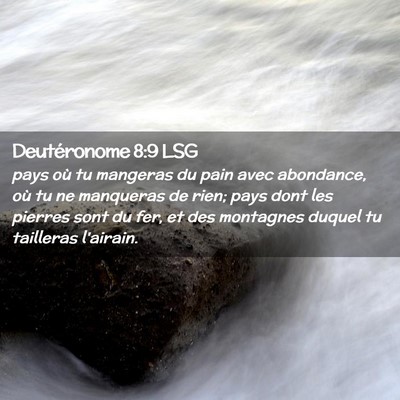 Picture 02 - Deutéronome 8:9 LSG - pays où tu mangeras du pain avec abondance, où - Bible Verse Picture