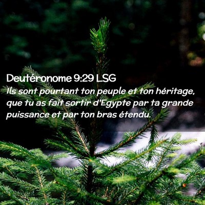 Picture 02 - Deutéronome 9:29 LSG - Ils sont pourtant ton peuple et ton héritage, - Bible Verse Picture