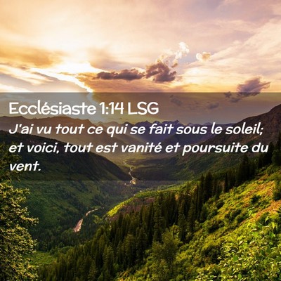 Picture 02 - Ecclésiaste 1:14 LSG - J'ai vu tout ce qui se fait sous le soleil; et - Bible Verse Picture