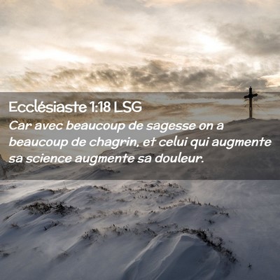 Picture 02 - Ecclésiaste 1:18 LSG - Car avec beaucoup de sagesse on a beaucoup de - Bible Verse Picture