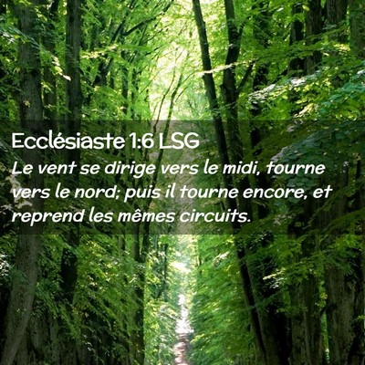 Picture 02 - Ecclésiaste 1:6 LSG - Le vent se dirige vers le midi, tourne vers le - Bible Verse Picture