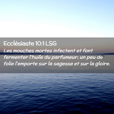 Picture 02 - Ecclésiaste 10:1 LSG - Les mouches mortes infectent et font fermenter - Bible Verse Picture