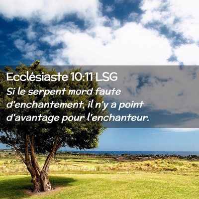 Picture 02 - Ecclésiaste 10:11 LSG - Si le serpent mord faute d'enchantement, il n'y a - Bible Verse Picture
