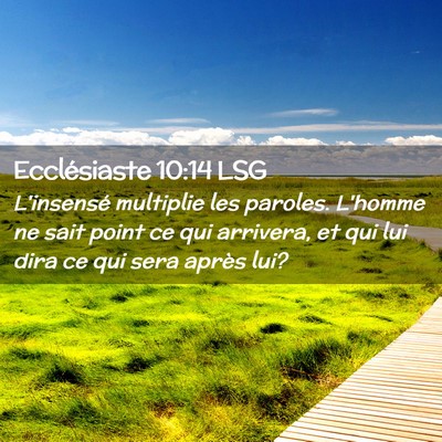 Picture 02 - Ecclésiaste 10:14 LSG - L'insensé multiplie les paroles. L'homme ne sait - Bible Verse Picture