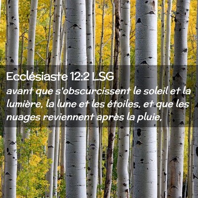 Picture 02 - Ecclésiaste 12:2 LSG - avant que s'obscurcissent le soleil et la - Bible Verse Picture