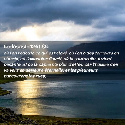 Picture 02 - Ecclésiaste 12:5 LSG - où l'on redoute ce qui est élevé, où l'on a - Bible Verse Picture