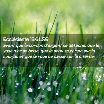 Picture 02 - Ecclésiaste 12:6 LSG - avant que le cordon d'argent se détache, que le - Bible Verse Picture